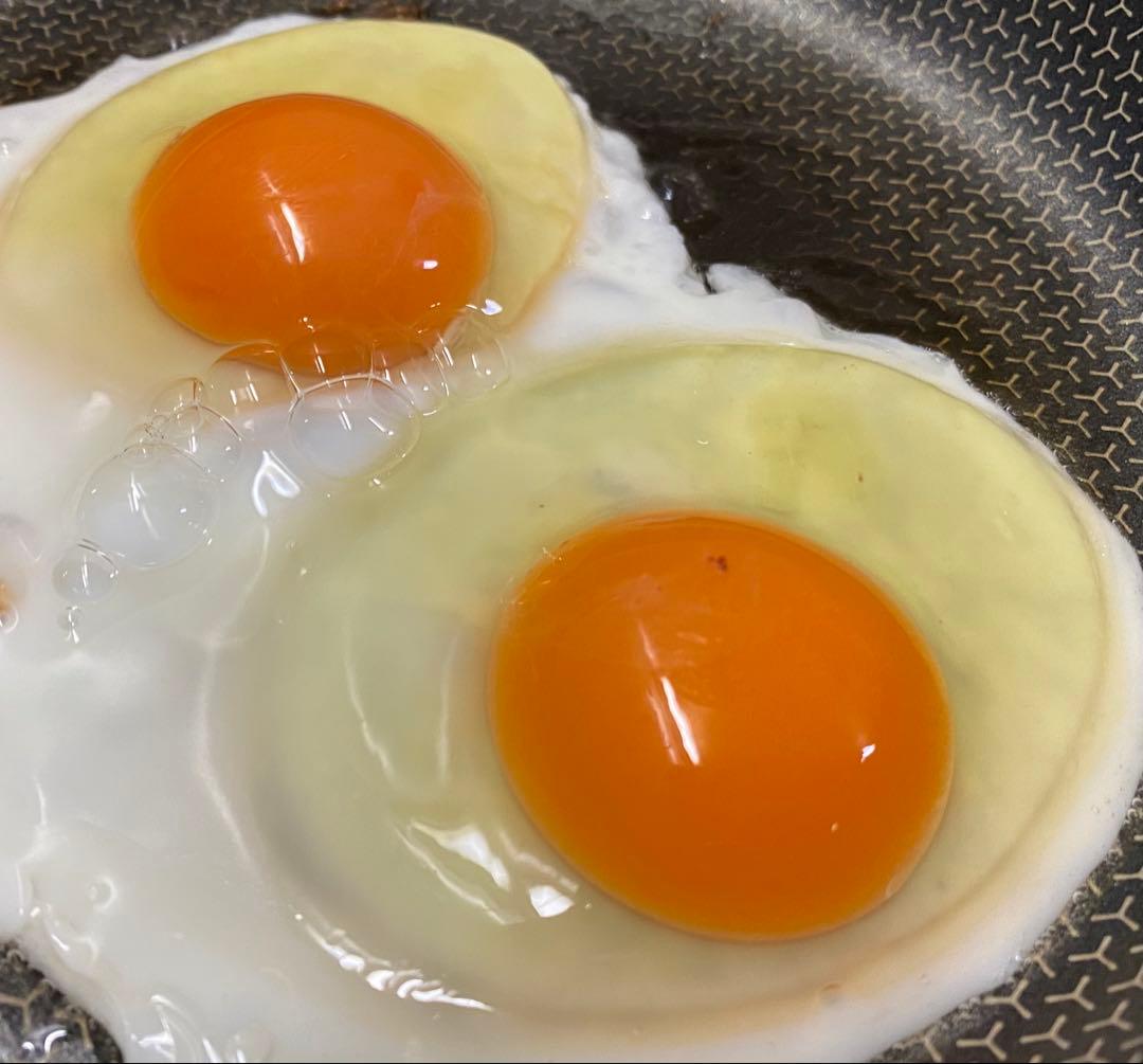 平飼い鶏卵 320個入り