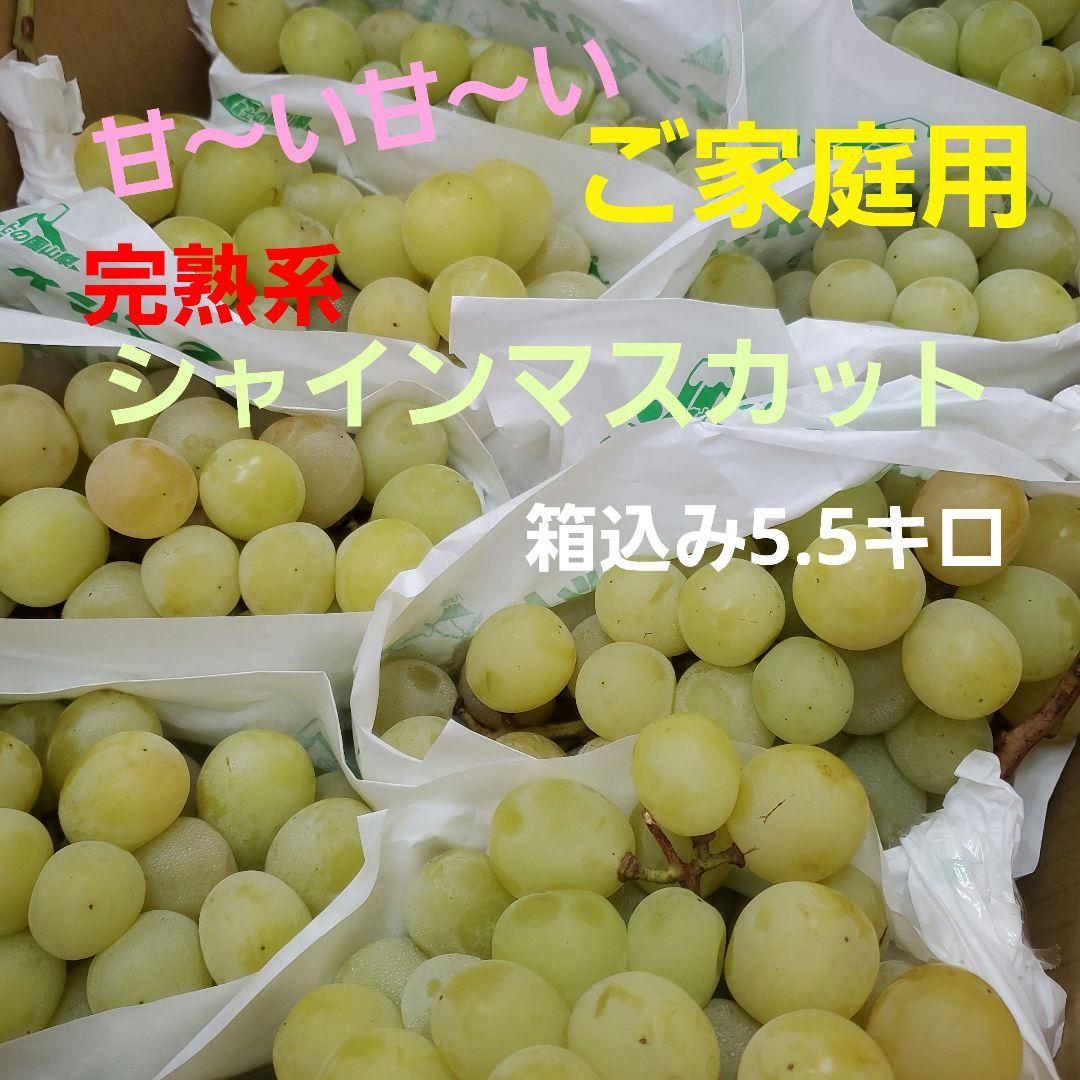 2️⃣ 山梨県産 シャインマスカット ９房入り 箱込み5.5キロ