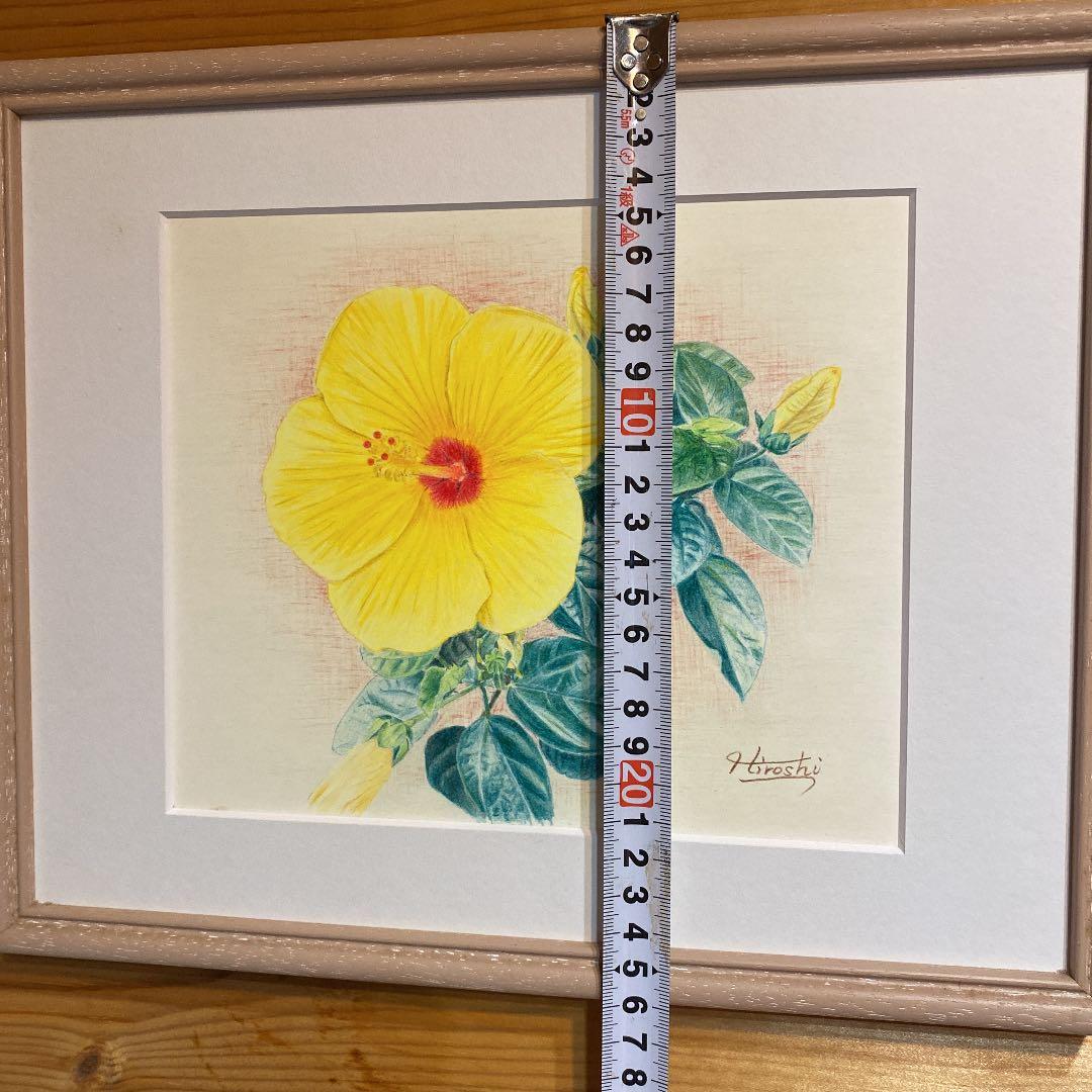 幸せの黄色いハイビスカス(色鉛筆画)