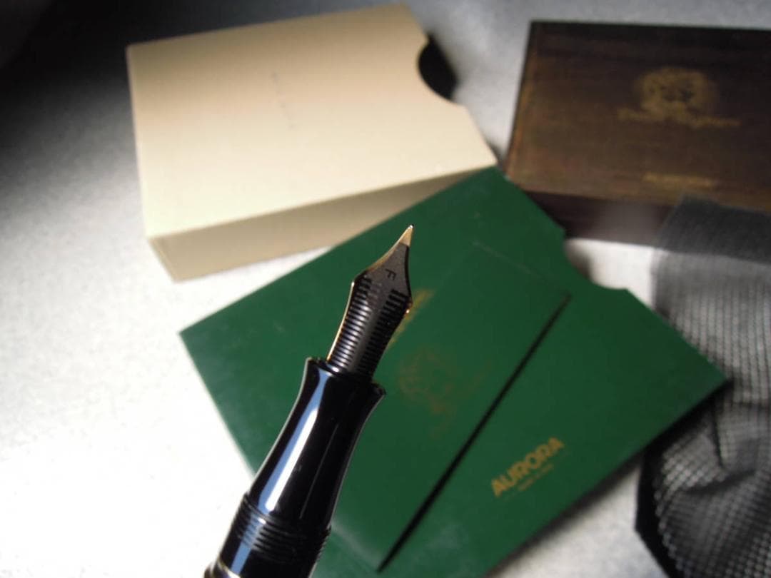 アウロラ ダンテ・アリギエリ F nib　イタリア国内仕様