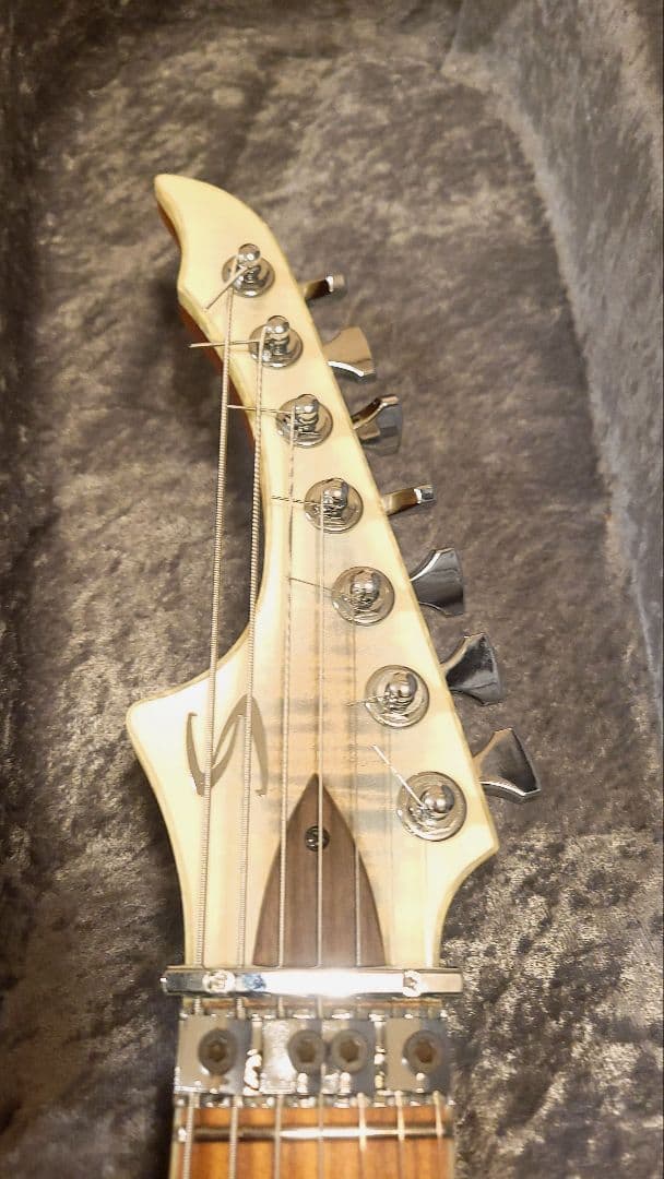 Skervesen Raptor 7 / 7弦ギター