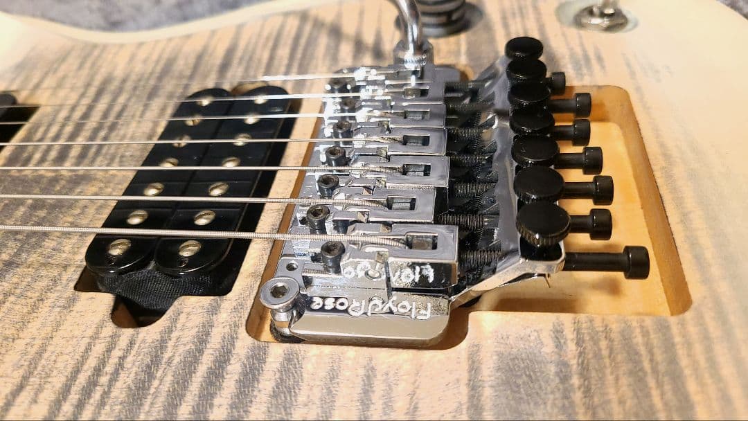 Skervesen Raptor 7 / 7弦ギター