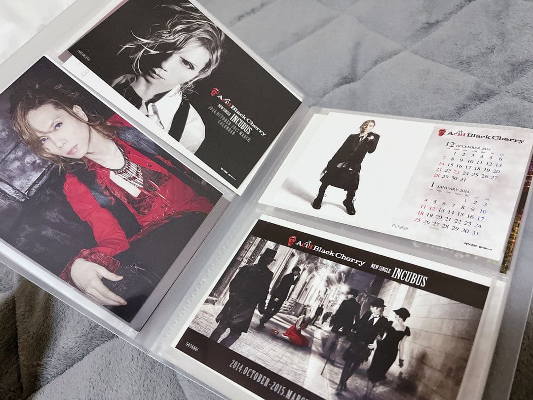 【美品】Acid Black Cherry トレカ 18枚 ポストカード 他