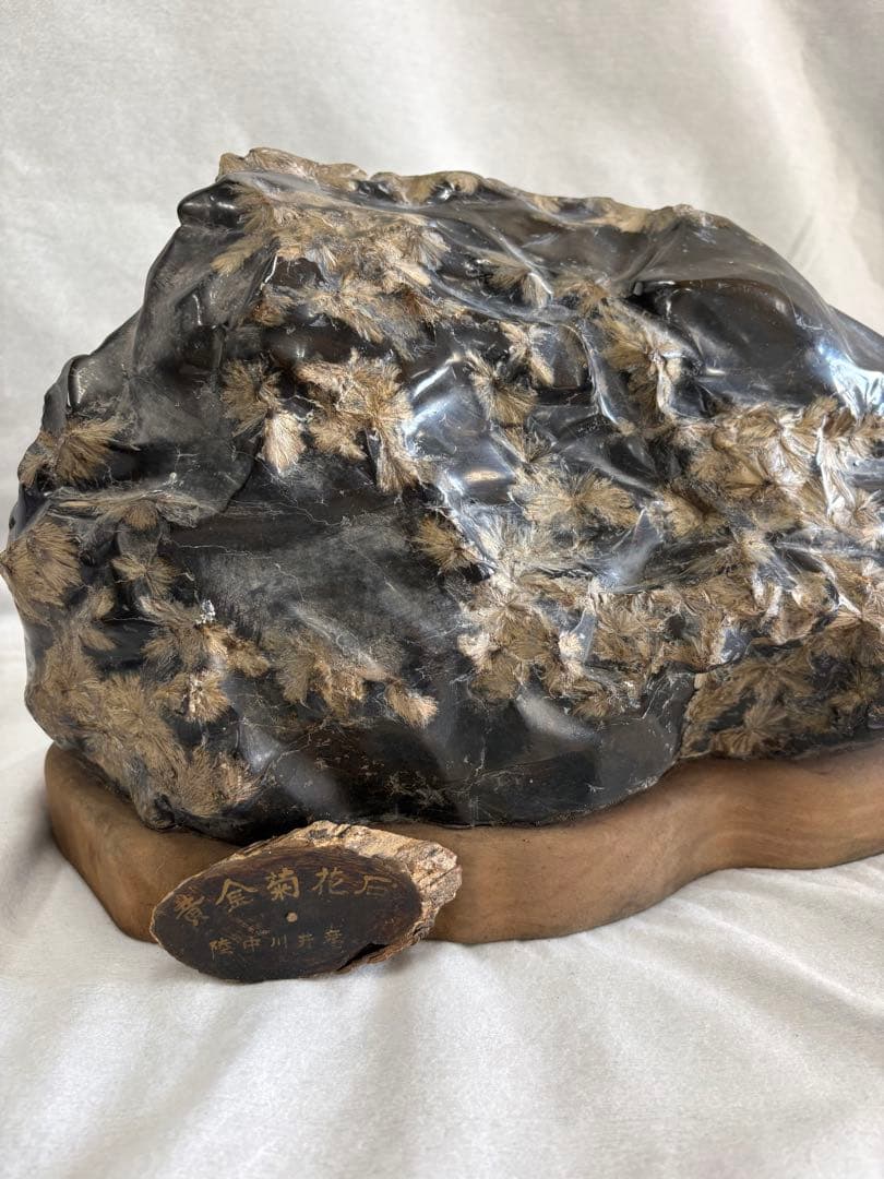 黄金菊花石　岩手県　陸中川井産　天然石