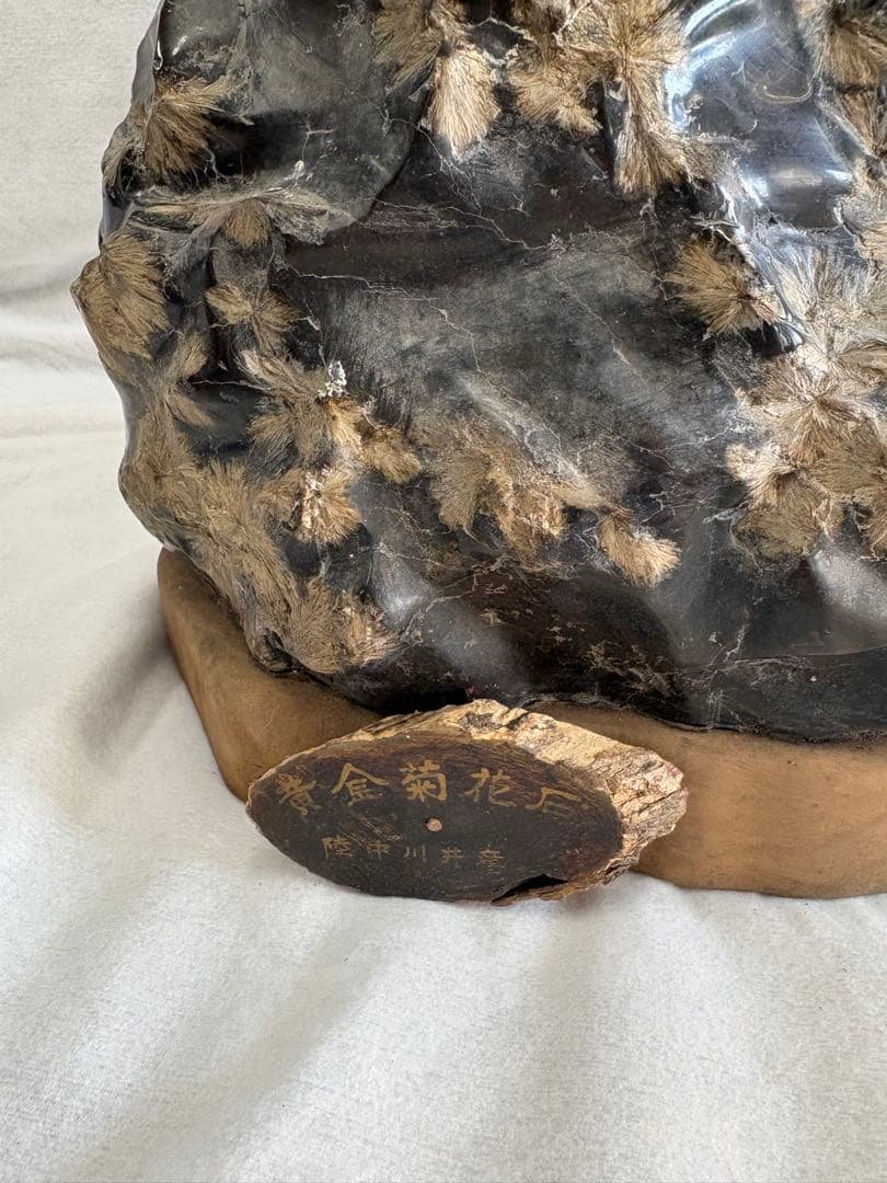 黄金菊花石　岩手県　陸中川井産　天然石