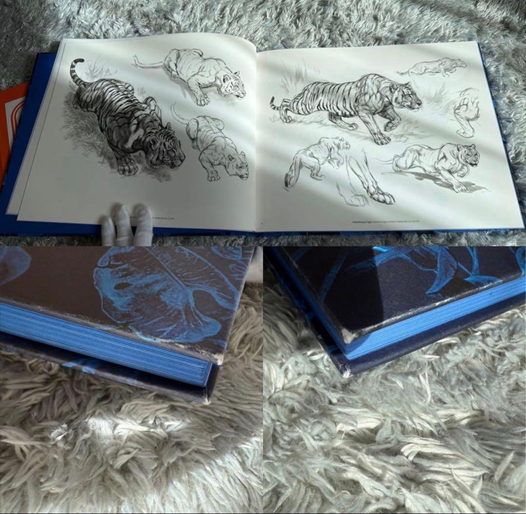 エルメス 飛び出す絵本 画集 2冊セット 写真集　ロバート　ダレ　画集　洋書