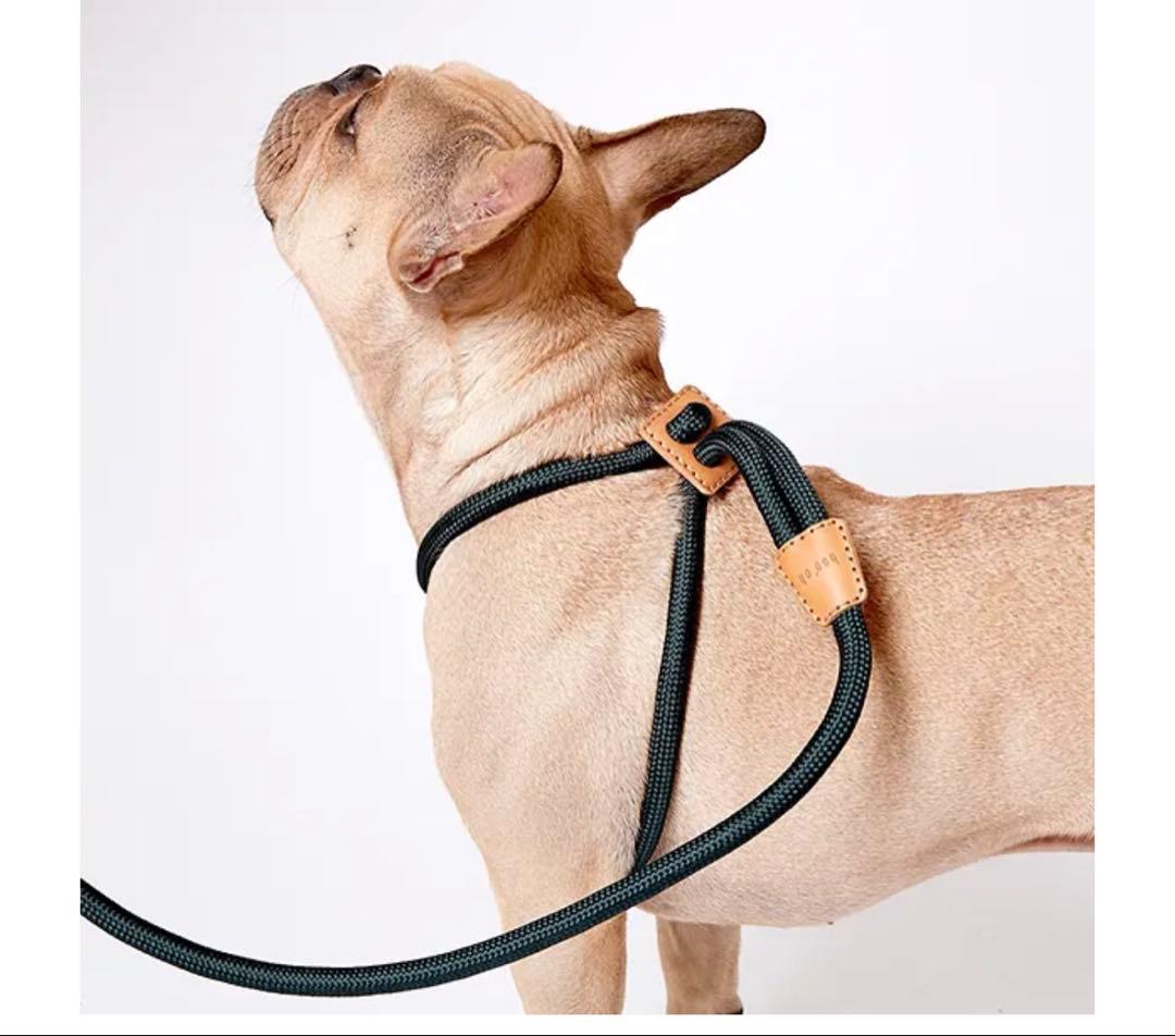 boooh リード&ハーネス