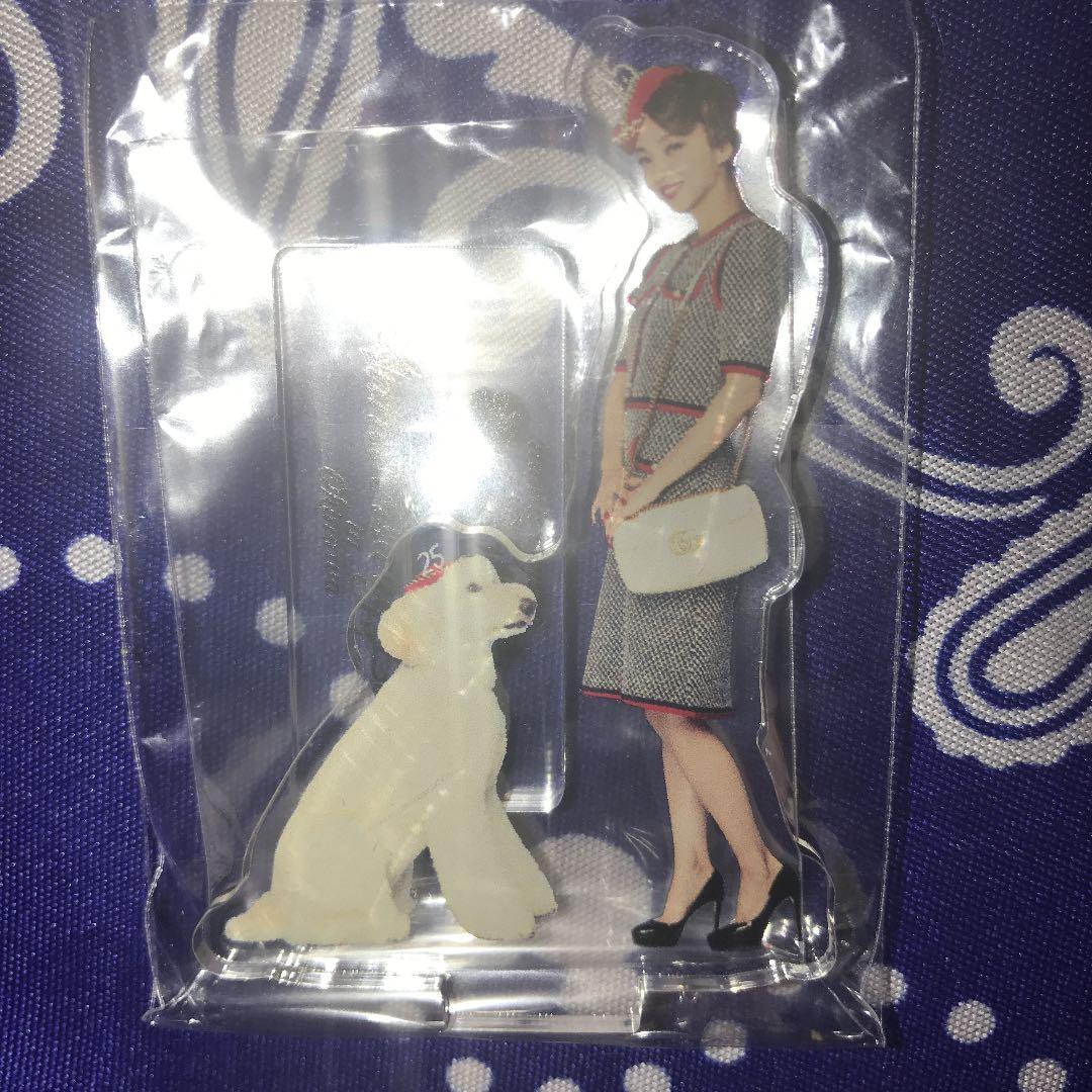 安室奈美恵 アクリルスタンド CA