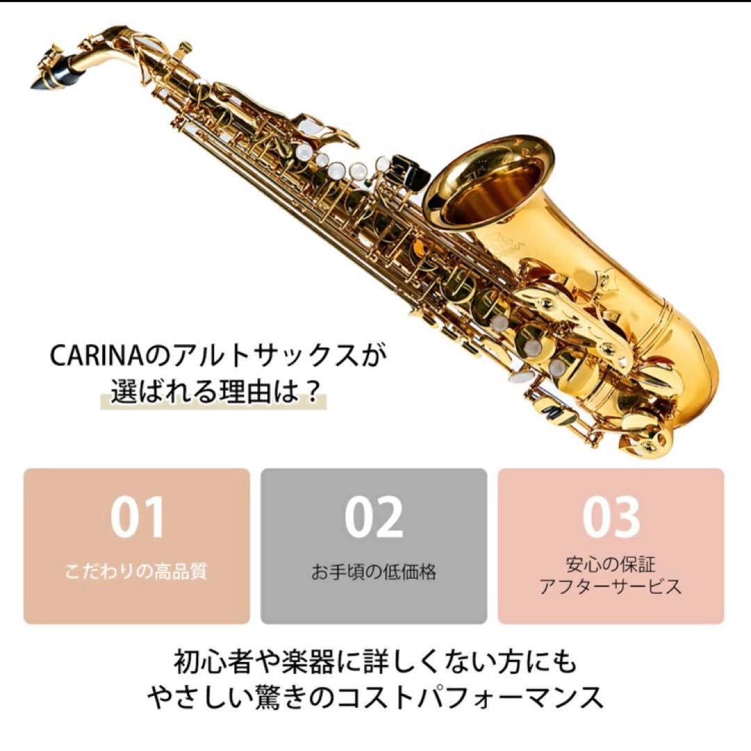 【くまぞう】アルトサックス 入門セット 8点　ゴールドラッカー ケース付き