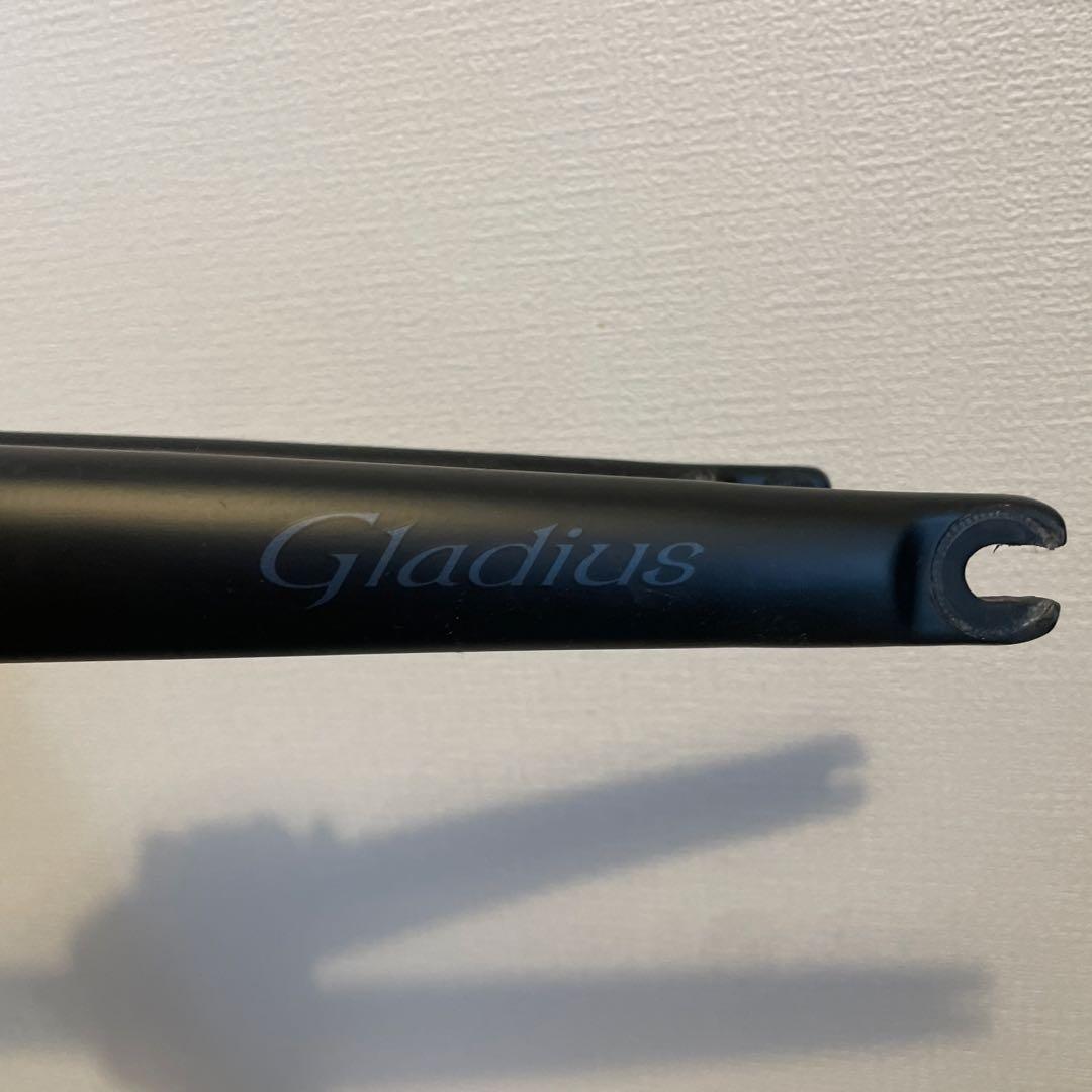 SIXTH Gladius フルカーボンフォーク ブラック