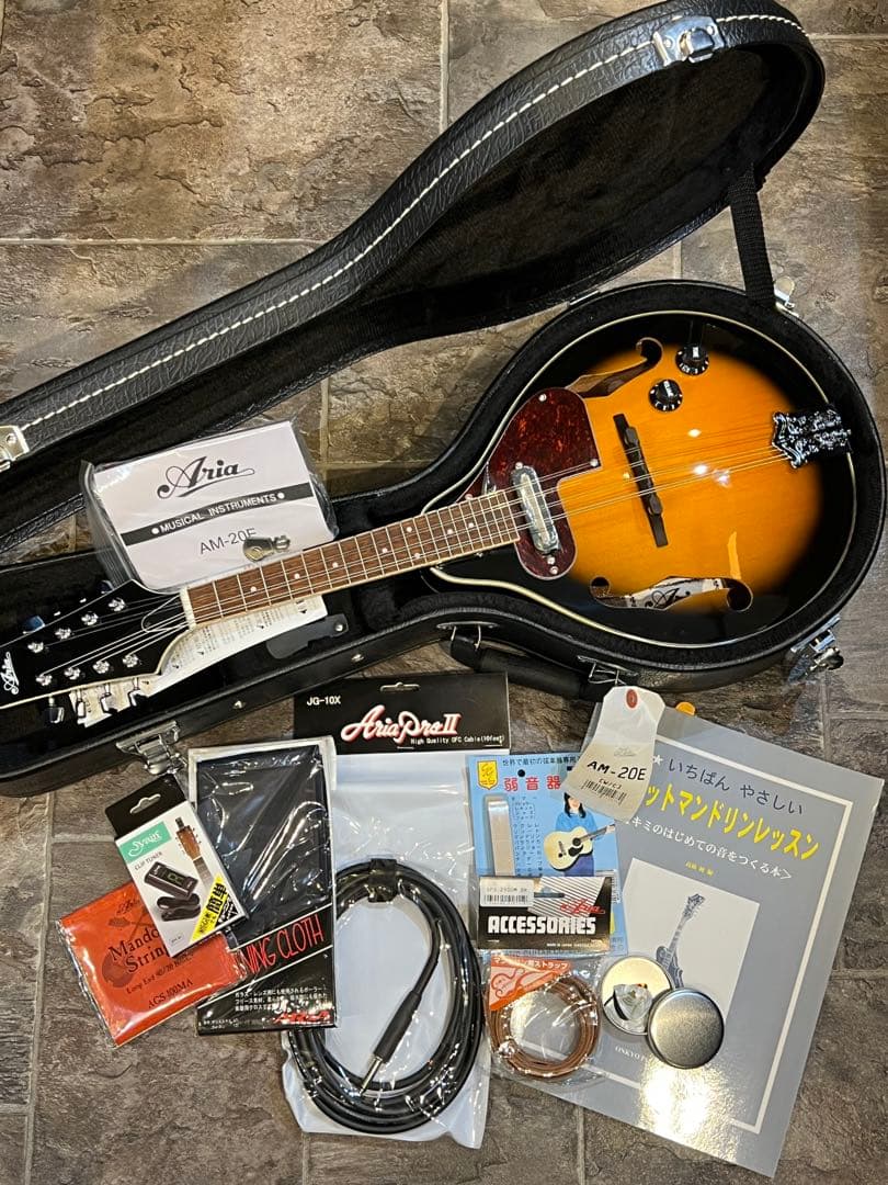 【新品未使用】フラットマンドリン ARIAアリアAM-20E 初心者11点セット