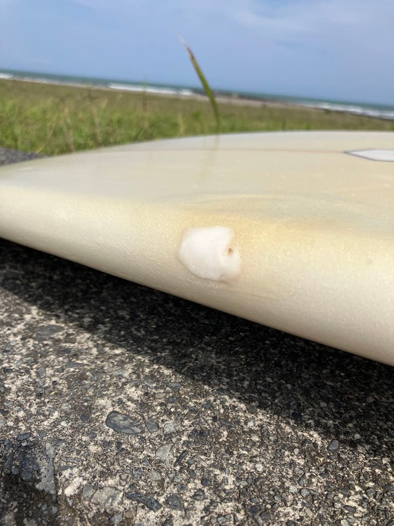 AL MERRICK PODMOD 5’8” PU アルメリック ポッドモッド