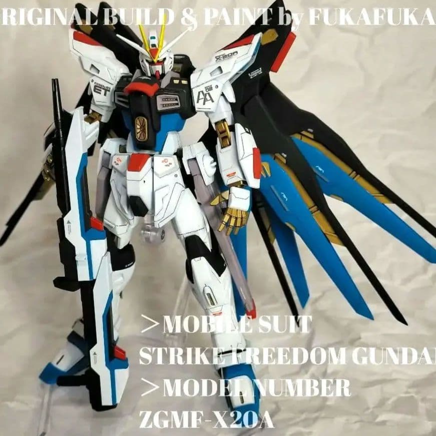 HGCE ストライクフリーダムガンダム 全塗装完成品(多数改修点あり)