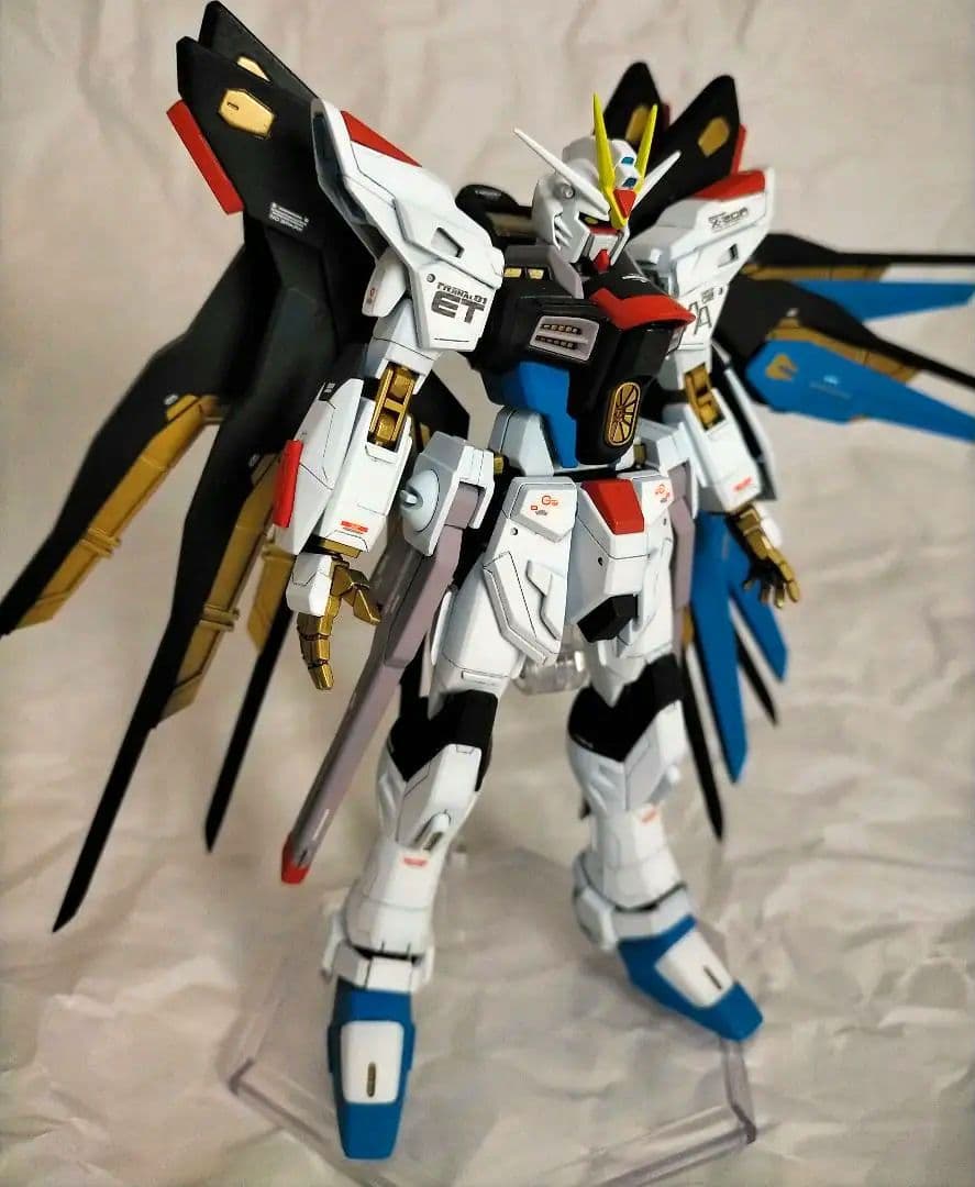HGCE ストライクフリーダムガンダム 全塗装完成品(多数改修点あり)