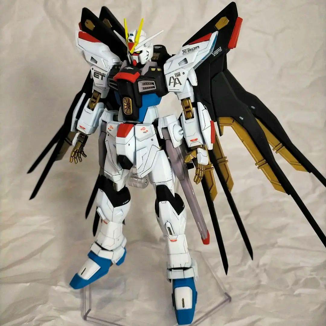 HGCE ストライクフリーダムガンダム 全塗装完成品(多数改修点あり)