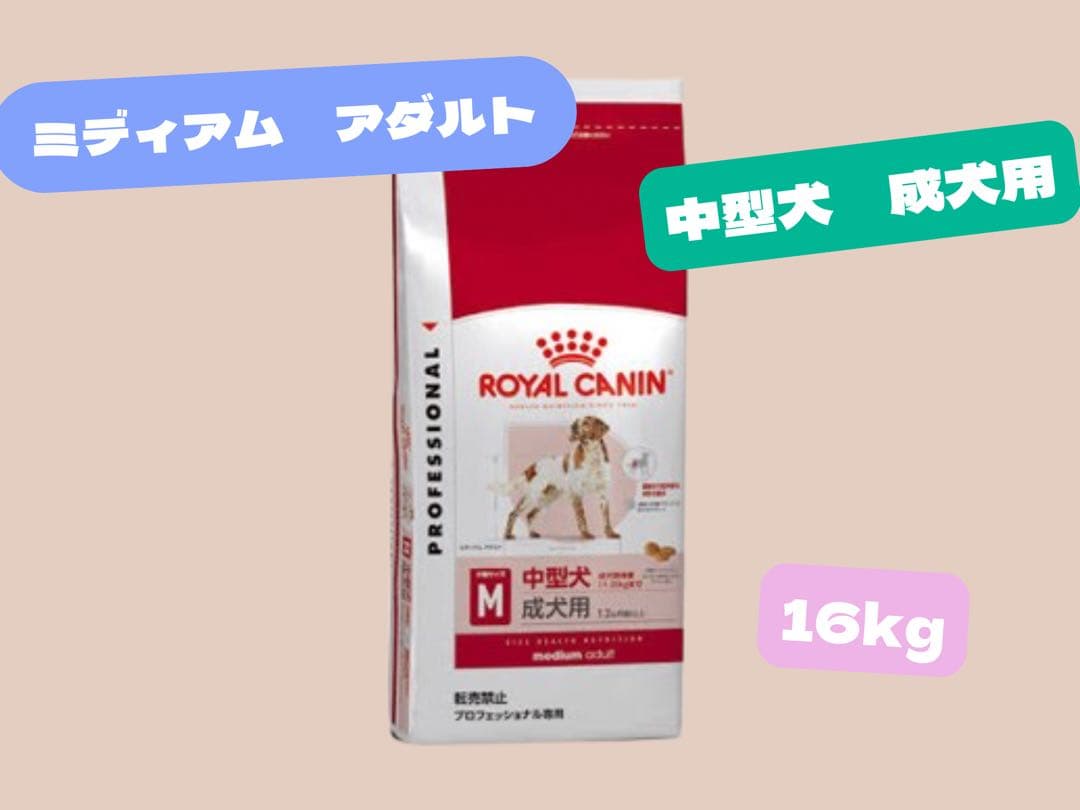 ★ロイヤルカナン　ミディアム　アダルト16kg★中型犬成犬用！