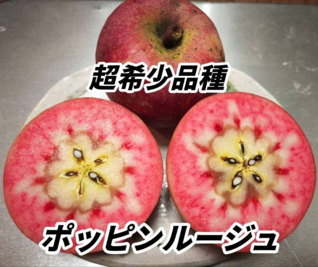 林惠子　ポッピンルージュ、ムーンルージュ、キルトピンク　トータル10キロ