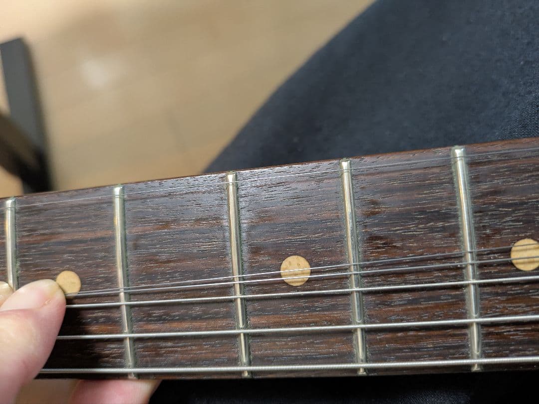 ギター Vanzandt STV-R2