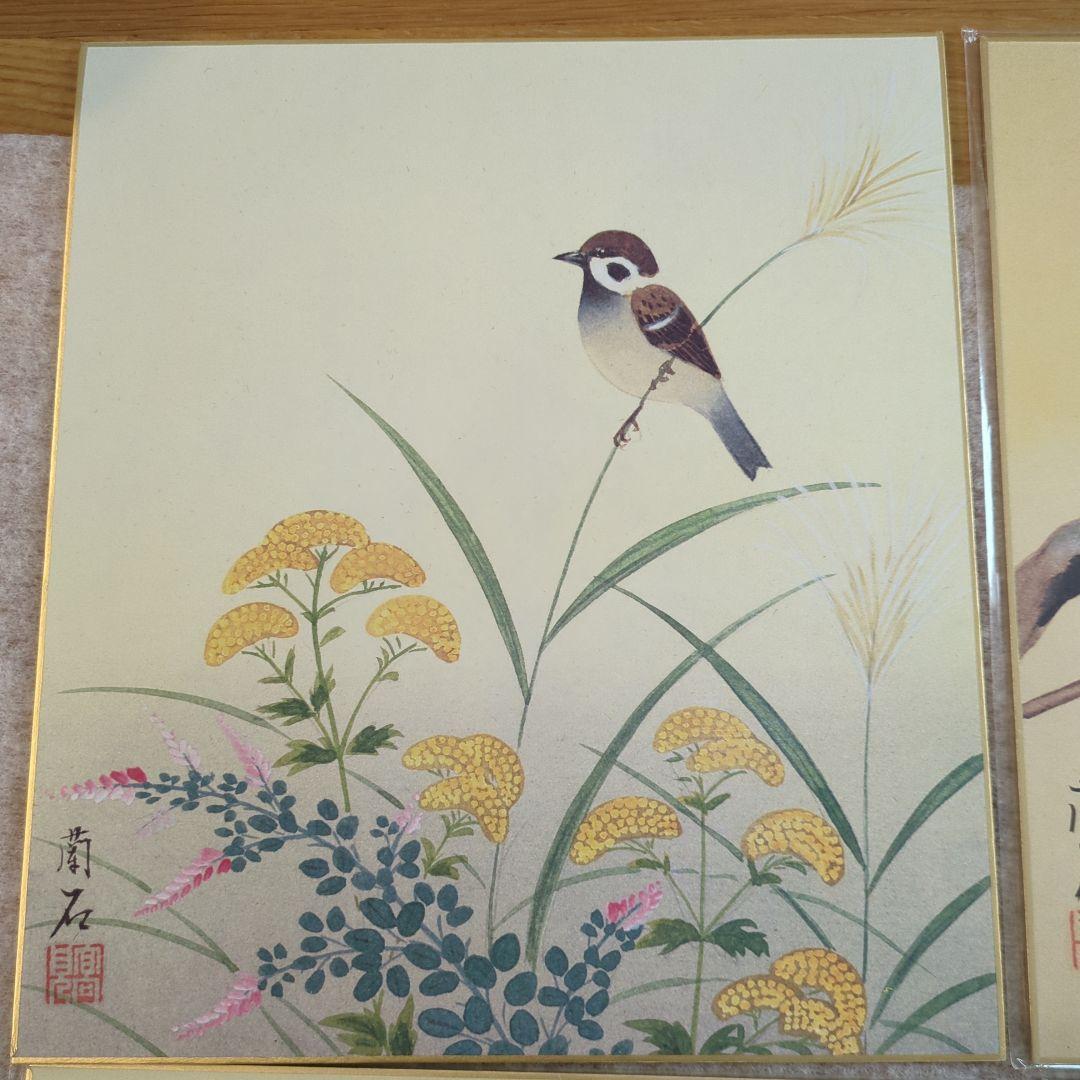 鳥と葉の水彩画 掛軸