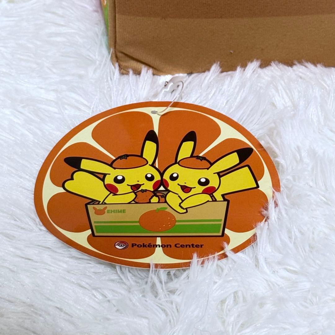 【✨️タグ付美品】ポケモンストア 愛媛 ペアピカチュウ えひめみかん ぬいぐるみ