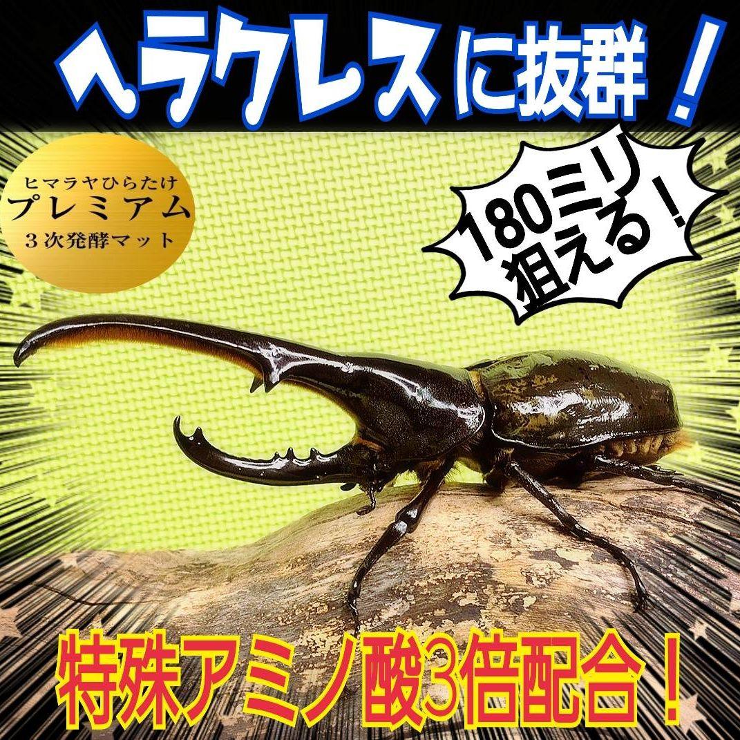 たっぷり！50リットル☆極上！プレミアム3次発酵カブトムシマット☆特殊アミノ酸入