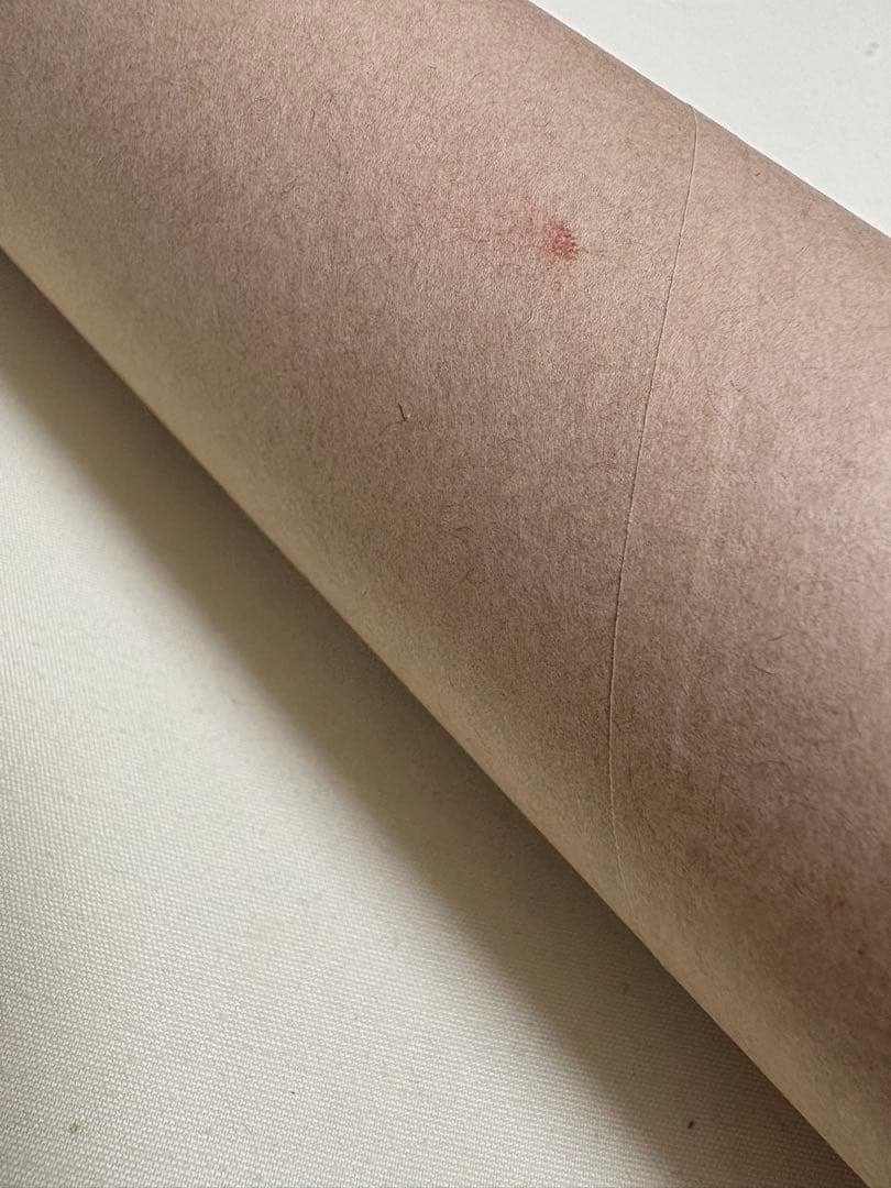 ヒロアカ 原画展 A2アートポスター The Beginning 緑谷爆豪セット