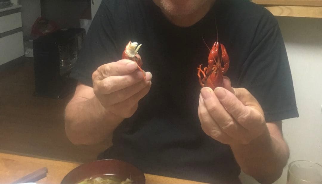 【れんげ米　玄米20.0kg コシヒカリ又はあさひの夢】　農薬不使用