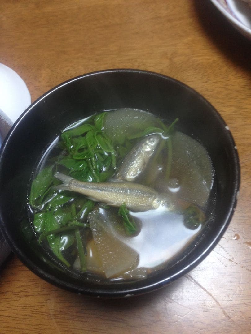 【れんげ米　玄米20.0kg コシヒカリ又はあさひの夢】　農薬不使用