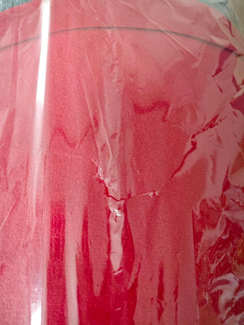 逆転検事 カプくじ S賞 御剣怜侍 カプころん ぬいぐるみ