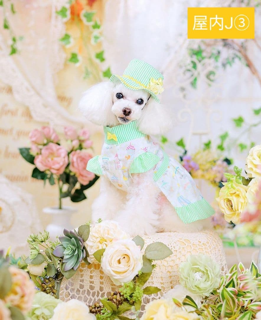 背景布【　ガーデンF　】ペット撮影用フォトブース　トリミングサロン