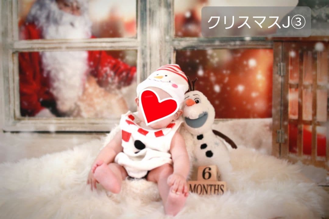 背景布【　ガーデンF　】ペット撮影用フォトブース　トリミングサロン