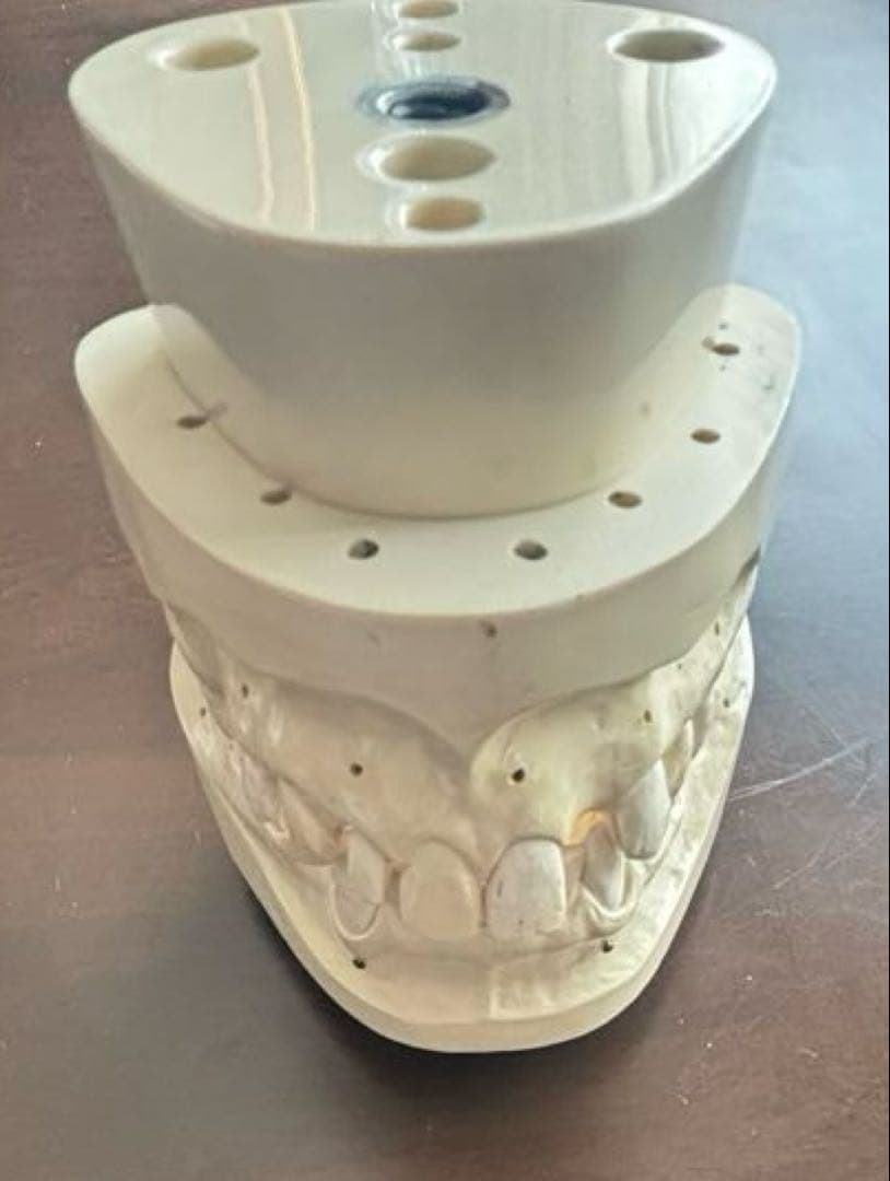歯科　支台歯形成　練習模型　セット