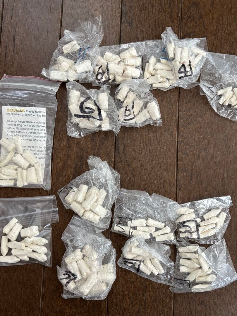 歯科　支台歯形成　練習模型　セット