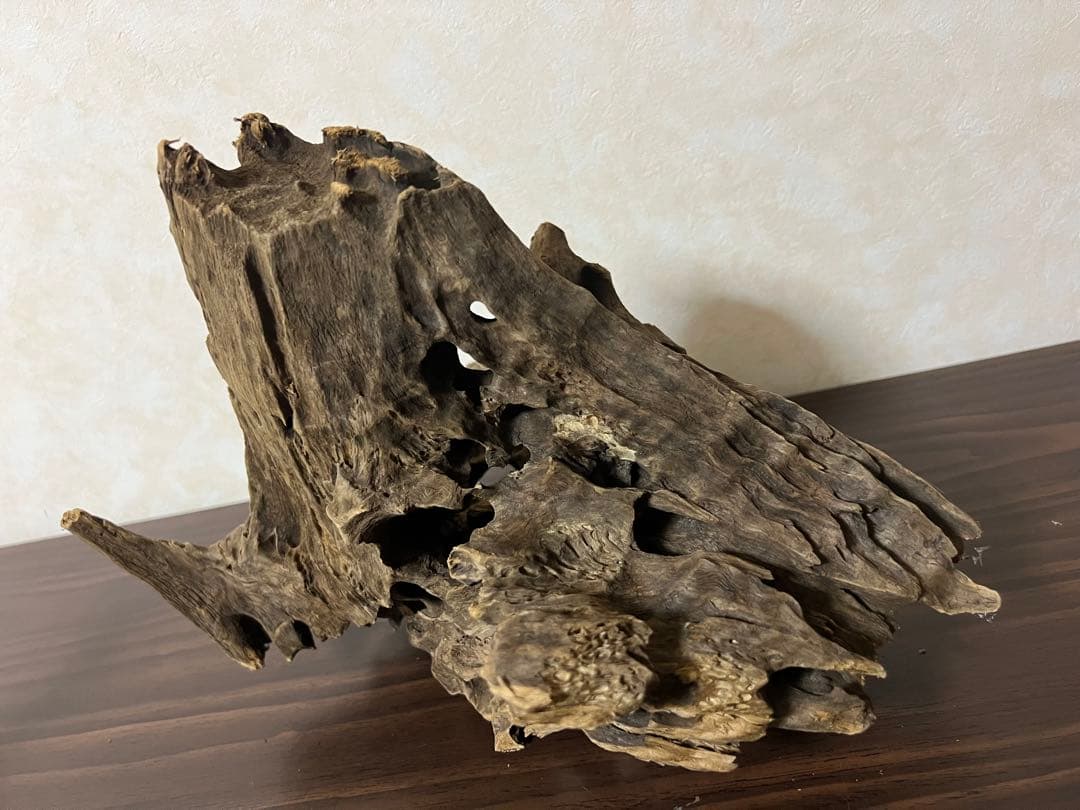 (XM-200)流木　マシンガンウッド　アクアリウム　沈水確認済　ブランチウッド