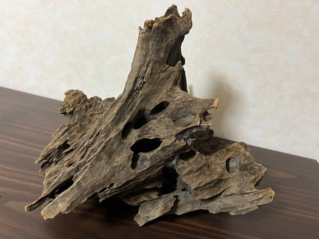 (XM-200)流木　マシンガンウッド　アクアリウム　沈水確認済　ブランチウッド