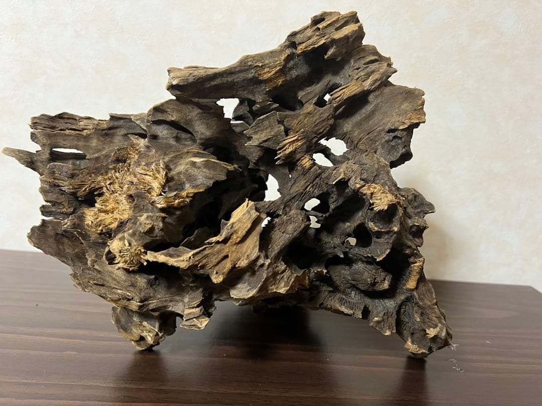 (XM-200)流木　マシンガンウッド　アクアリウム　沈水確認済　ブランチウッド