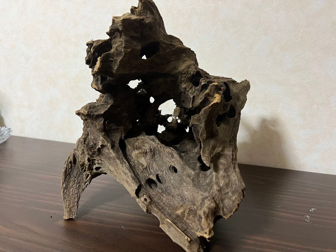 (XM-200)流木　マシンガンウッド　アクアリウム　沈水確認済　ブランチウッド