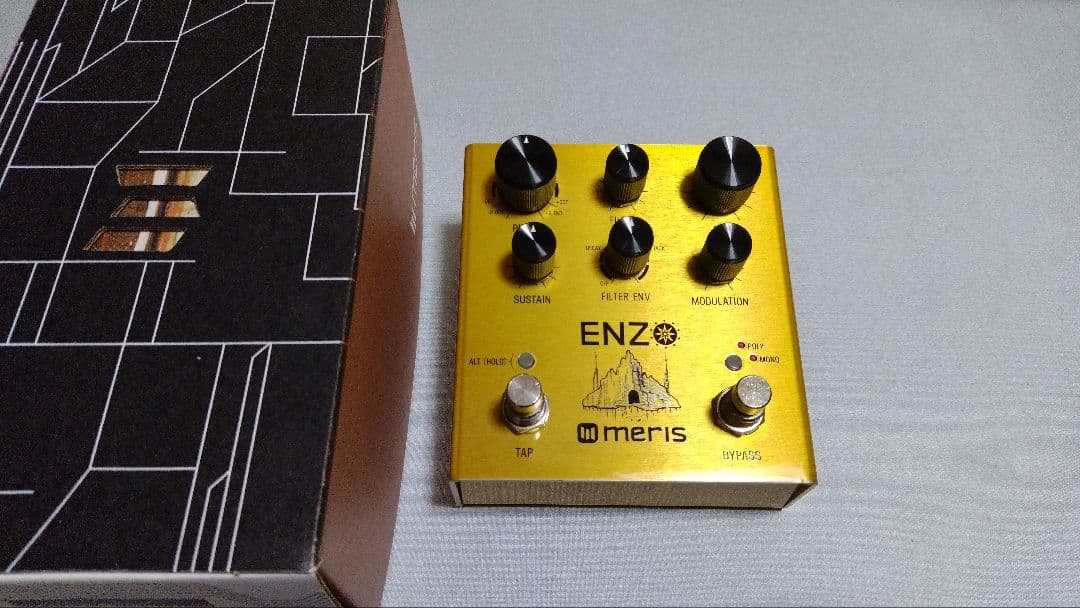 ギター meris Enzo