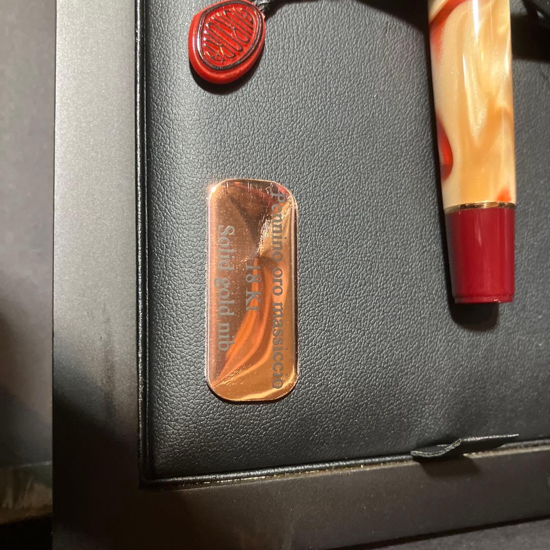 ウインターセール28日まで　限定　アウロラ　限定7500本 万年筆 大陸シリーズ