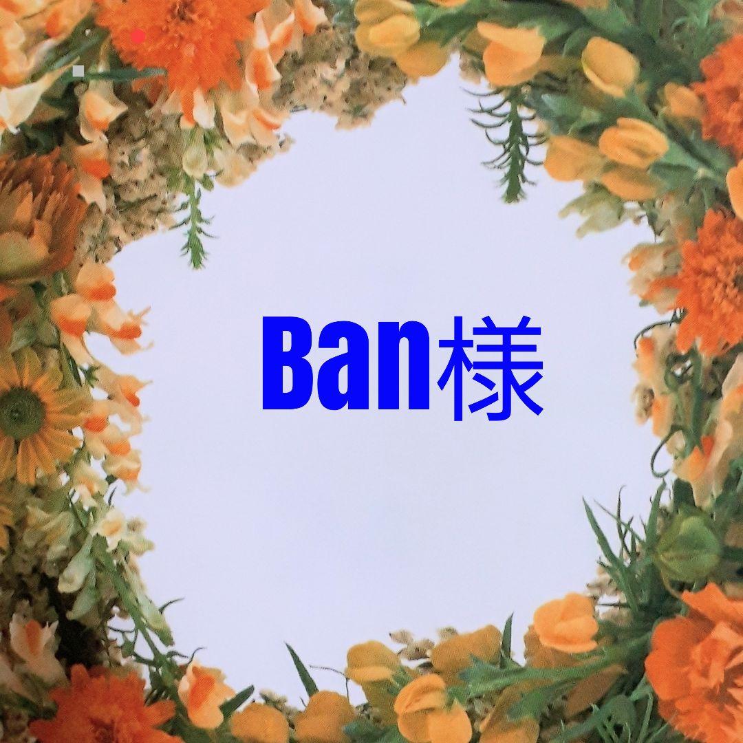令和7年産　山形県産【秘伝豆】10キロ
