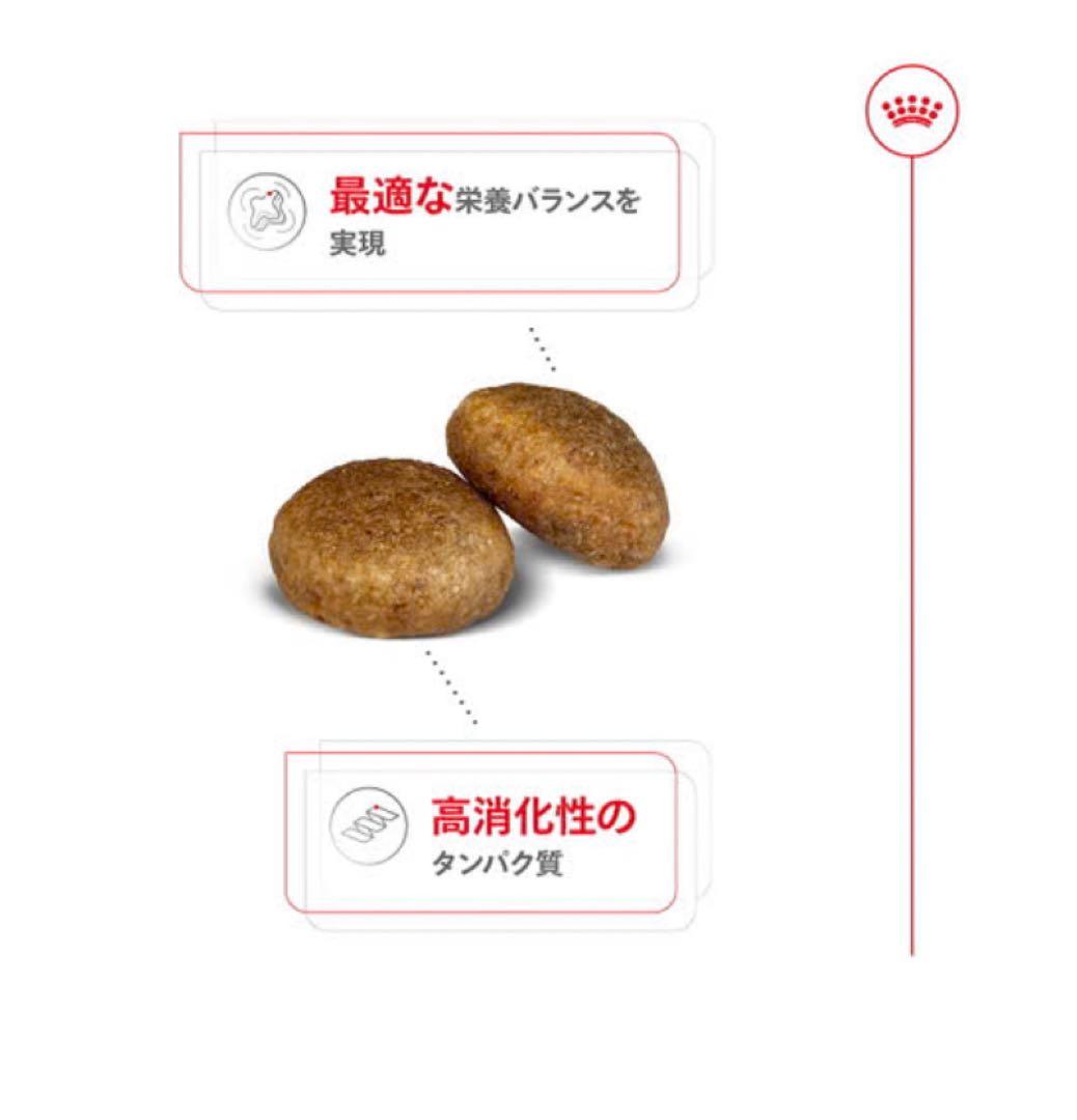  CANAN 大型犬用 ドライフード 16kg 新品未開封