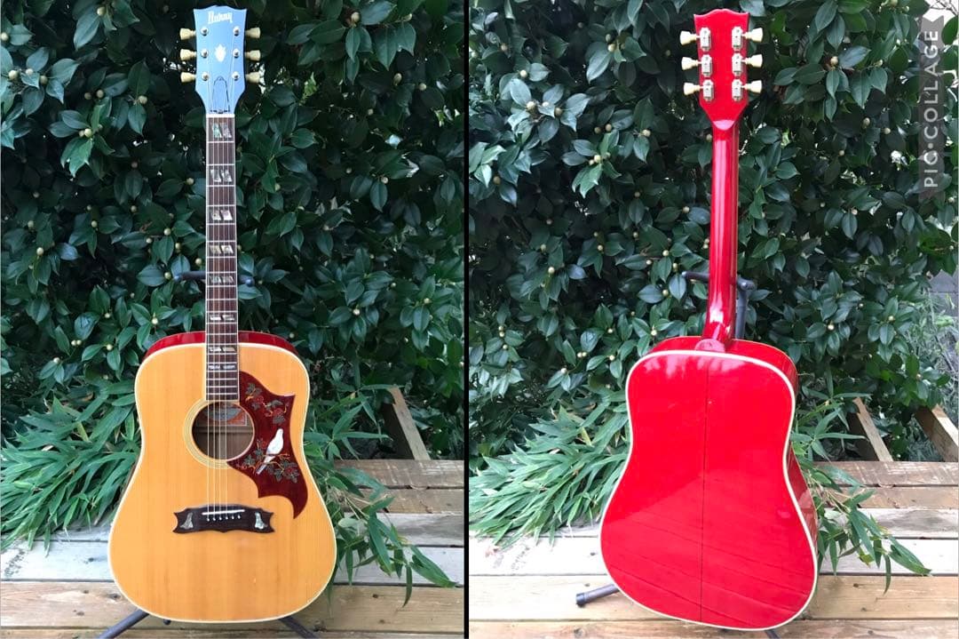 Burny BD-85 DOVE バーニー