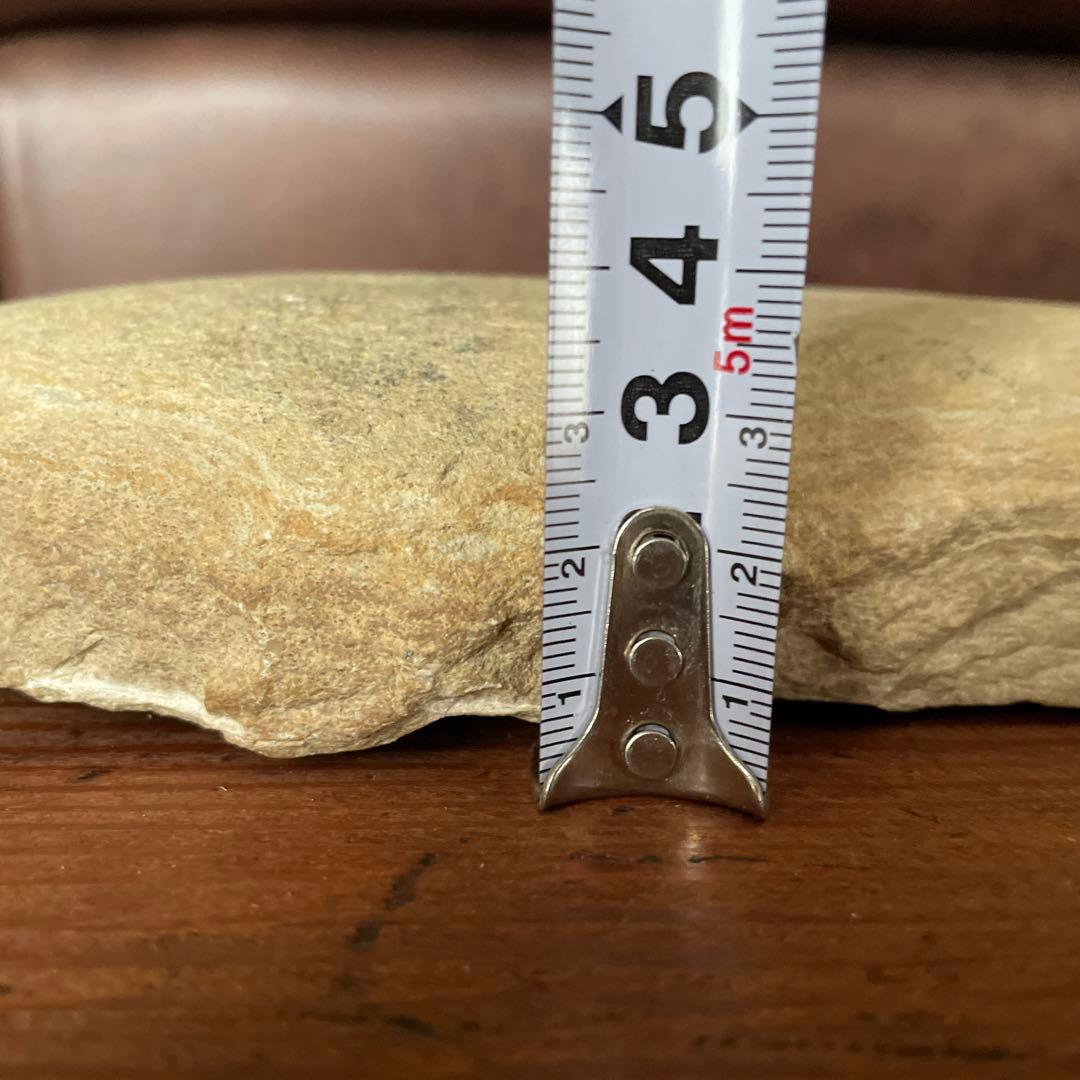 魚　化石　　古代魚