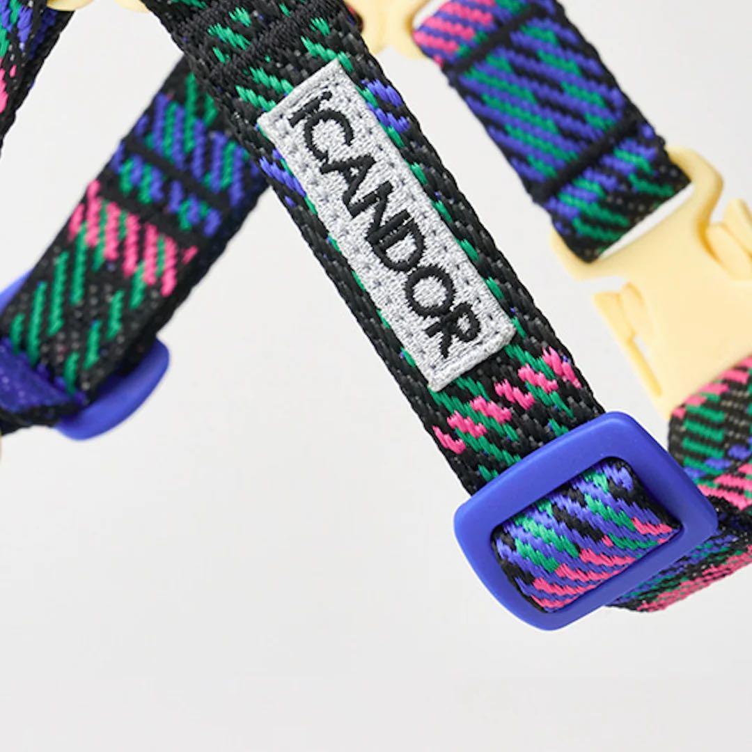 【ICANDOR】 首輪 ハーネス ショルダーリード 3点セット