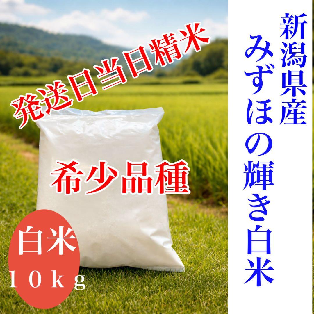 米10キロ　新潟県産　みずほの輝き　白米　10k g 米　お米　米10k g