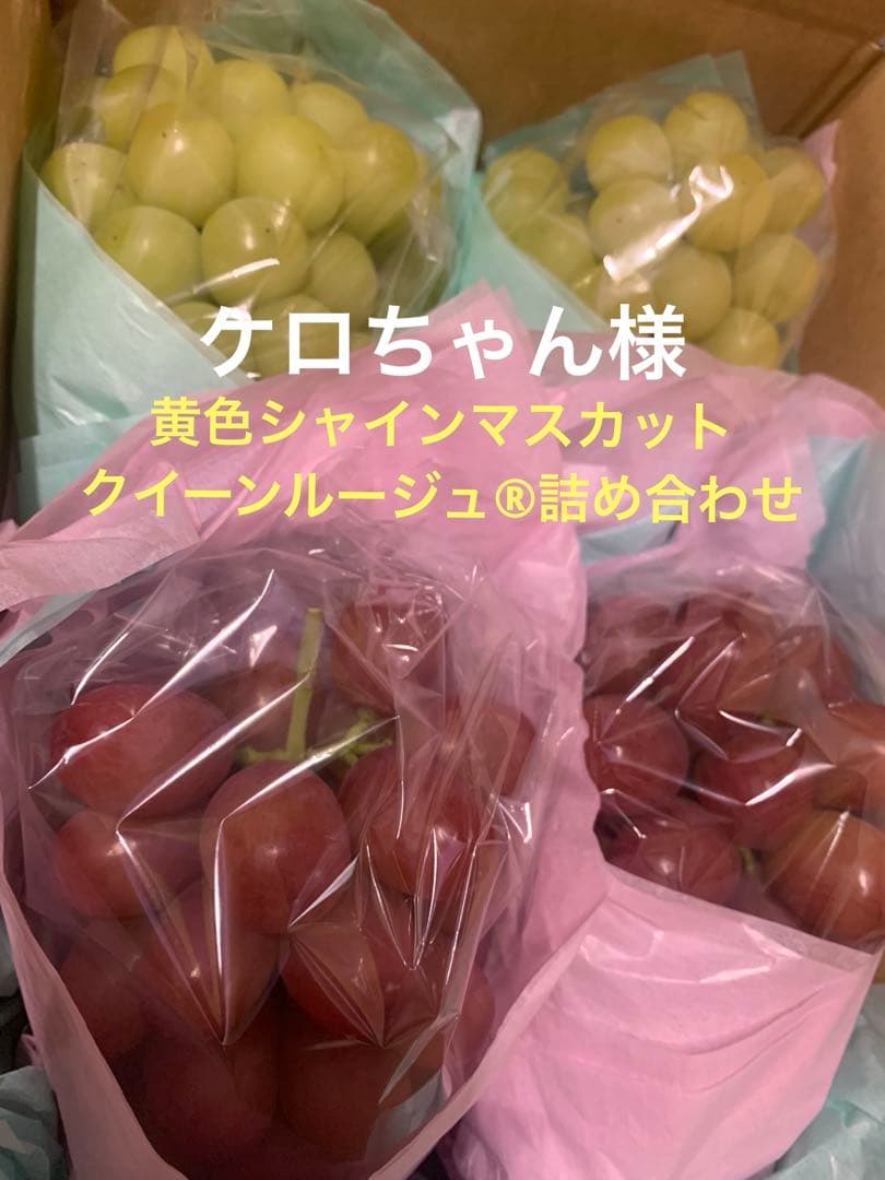 「専用出品」シャインマスカット&クイーンルージュ®︎（3.5キロ以上）