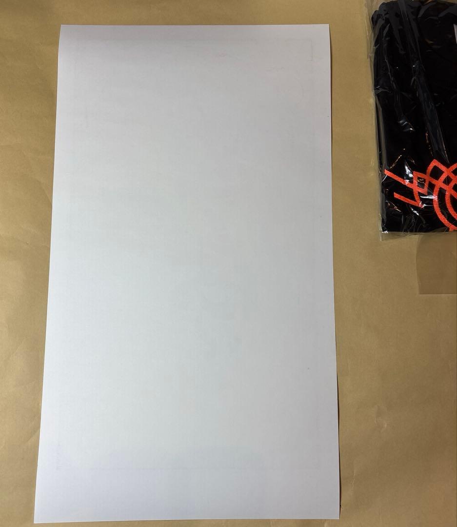 PUSHEAD パスヘッド SUMMER SONIC 2003 ボックスセット