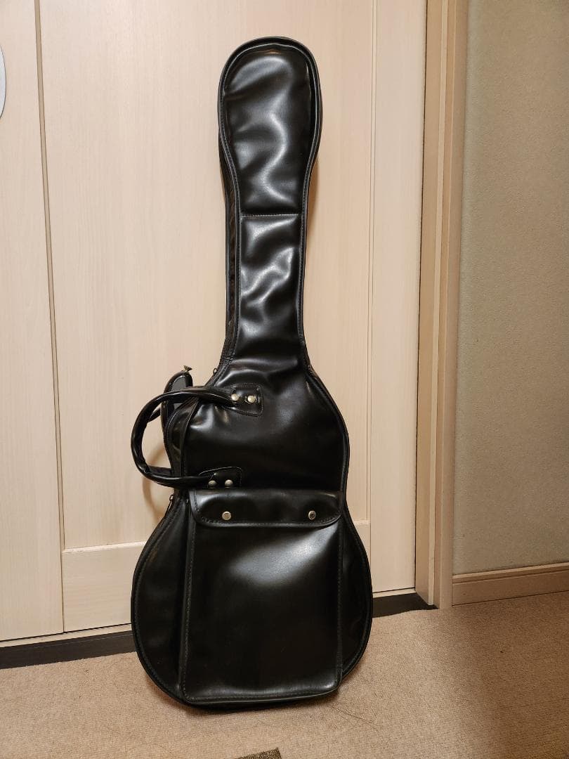 ギター FenderMexicoDeluxePowerhouseStratocaster