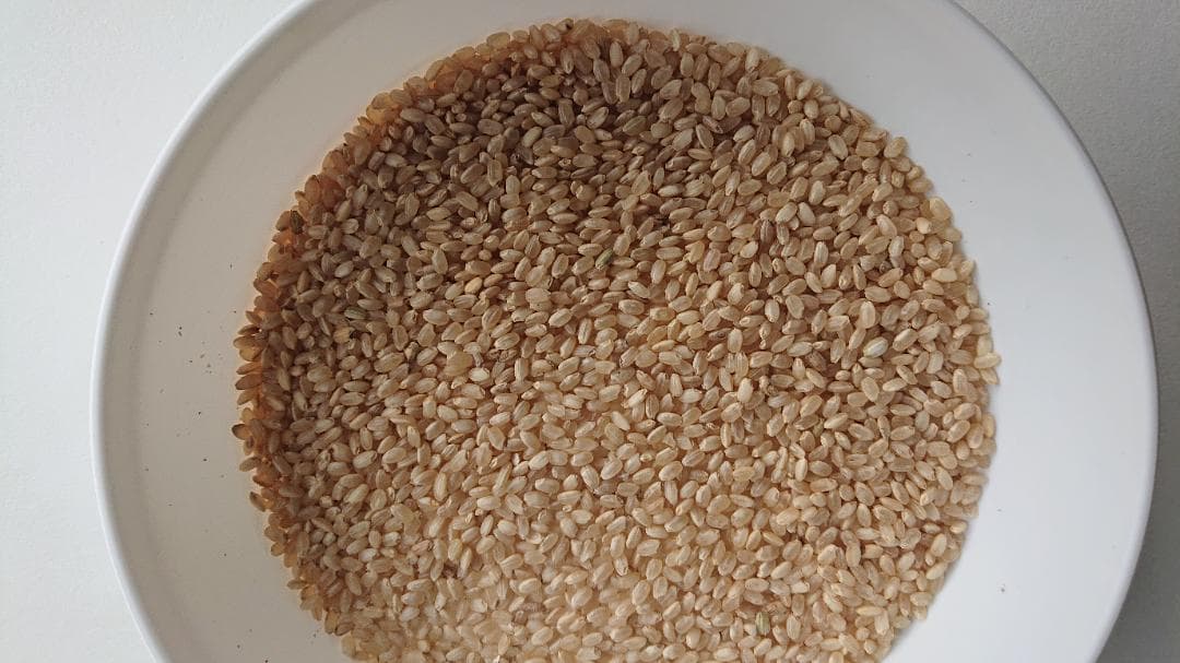 キヌヒカリ ２０キロ 玄米 減農薬 お米