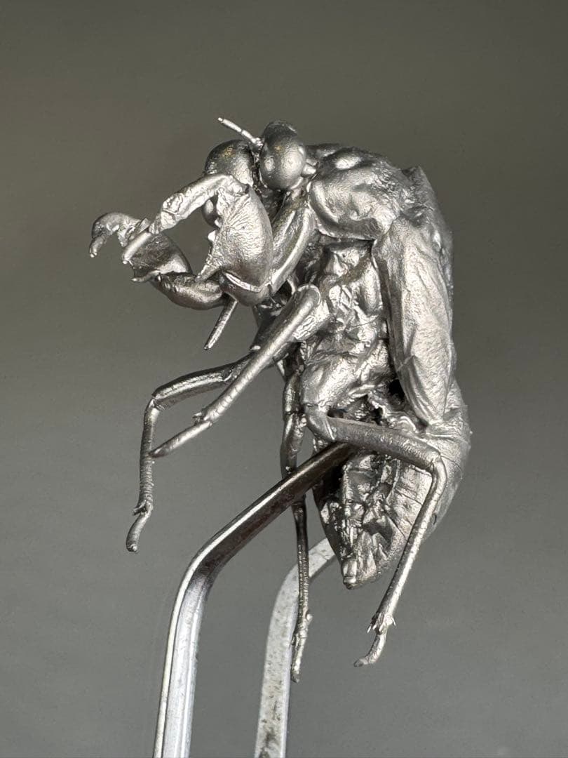 蝉　蝉の抜け殻　セミ　オブジェ　虫好き　金属製　標本